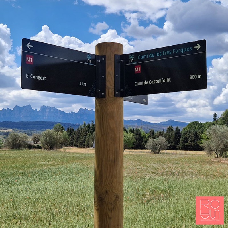 Banderola per Anella Verda